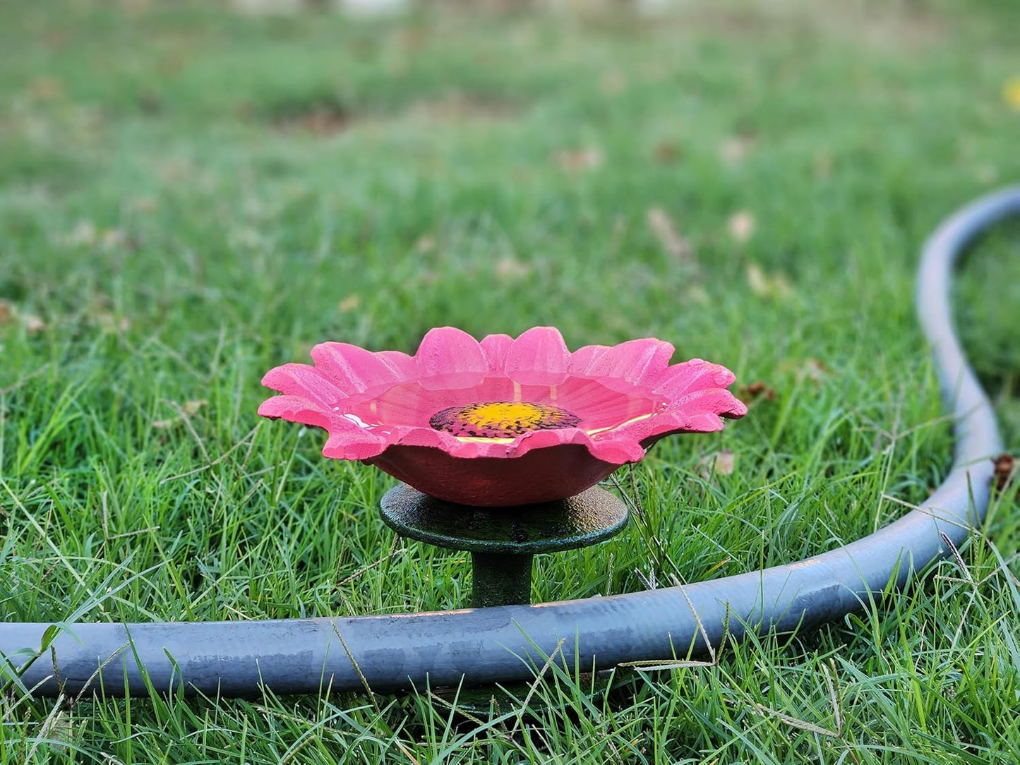 Cast Iron Pink, White & Yellow Daisy Hose Guide (Set of 3)